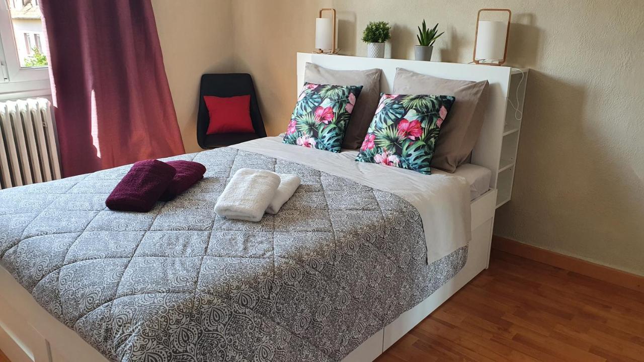 Apartment Le Bienvenue A - Parking Prive Inclus, Centre A Deux Pas Colmar